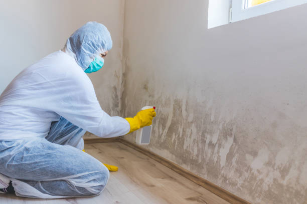 Licensed Basement Mold Remediation service in Keyport, NJ - Mold Remediation HQ