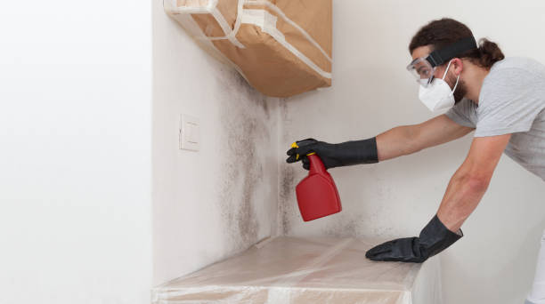Professional Basement Mold Remediation technician working in Keyport, NJ