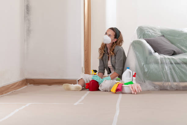 Reliable Basement Mold Remediation contractor in Keyport, NJ by Mold Remediation HQ